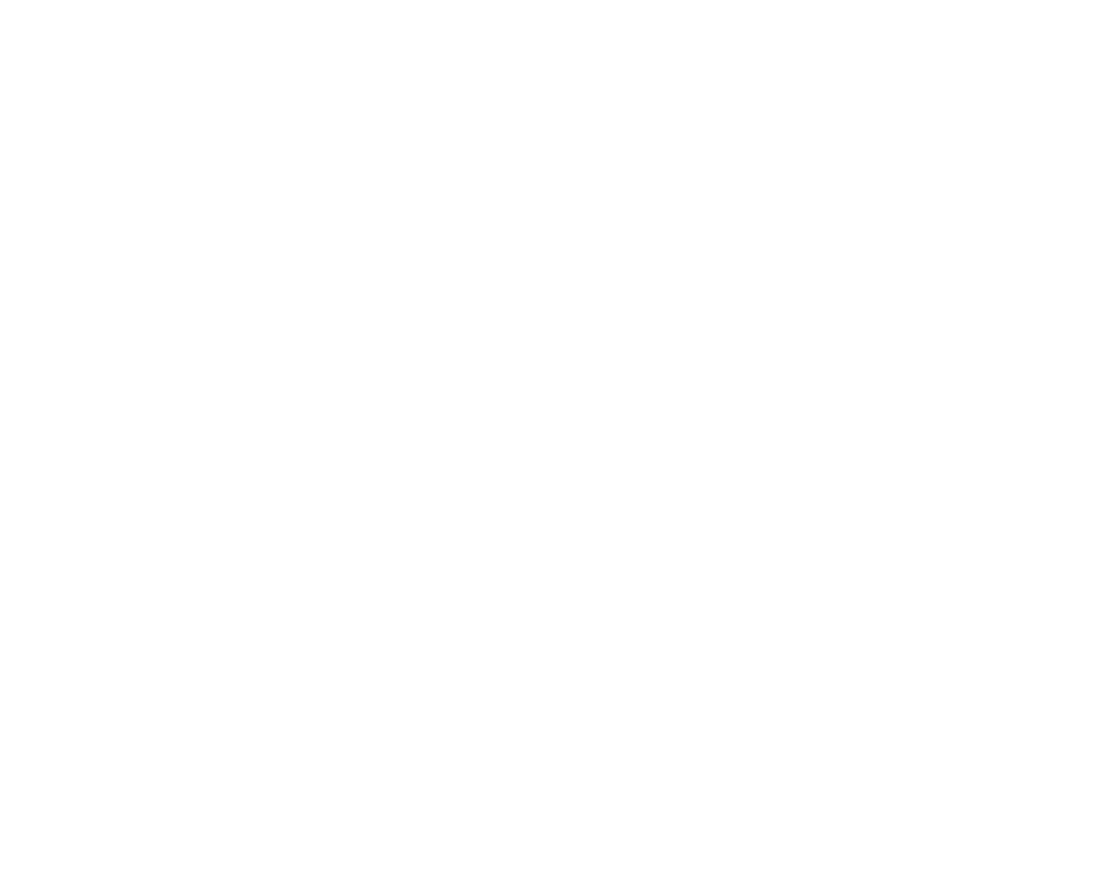 PRO MAX / KING 4K